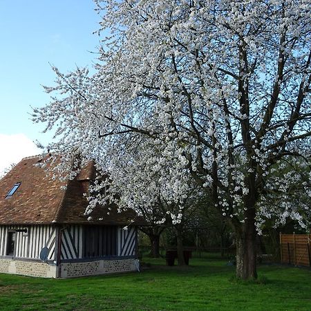 Gite Falafa Normand Pont-Évêque Exterior foto